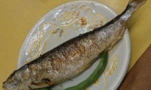 できるうちに、できることを楽しむ生活！