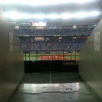 野球の観戦にはビールでしょ！