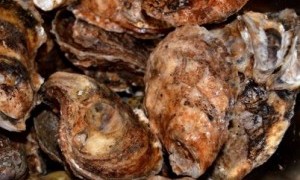 醸造系の副作用は、徘徊と健忘症？