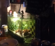 緑の色に癒されました