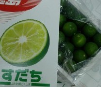 サンマの季節はもう少し先でございます