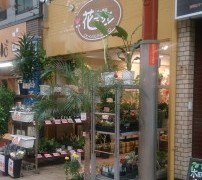 土曜日は、日当たりのよい非常階段で日光浴