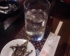 今年のおみくじ、残念ながら凶でした！