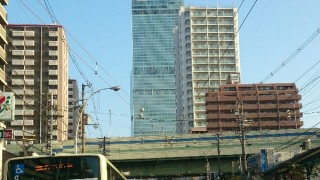 今週もゴロゴロ日曜は、ございません