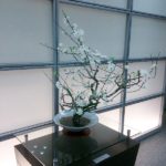 てくてく歩数も結構伸びました