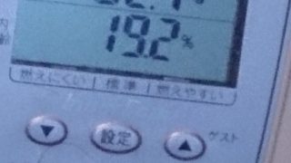 19か月目の意識