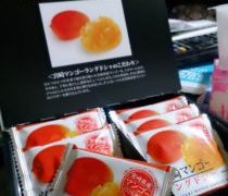 宮崎マンゴーラングドシャの空箱