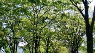 スタミナうどん