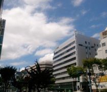 人気カップ麺のカロリーランキング