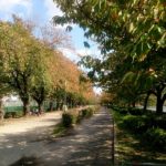 オニオンペッパーソース旨かった！