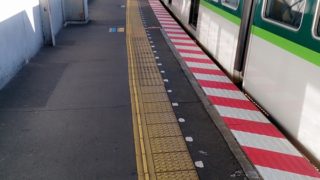 これはこれでお忙しい