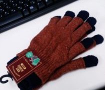 二ットレイヤードグローブ100円でした