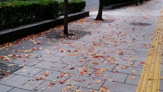 勤労感謝は祝日です