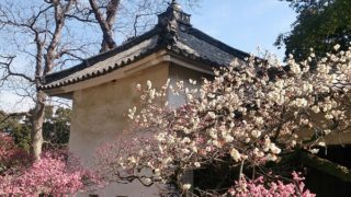 2連続のお好み焼きが、とっても良かった!