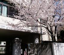 美味しいお出汁