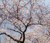 この日の課題は2つです