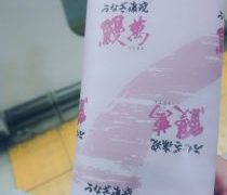 大阪市内を脱兎のごとく走られます