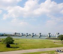 緑の日のオプションは、自転車でお散歩