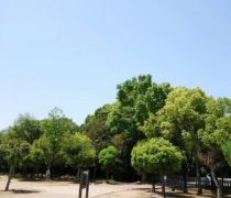 焼きそばパンを食すためのスケジュール