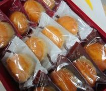 お値段未定の製品、購入予約