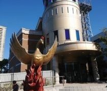 小学生からずっと見てます