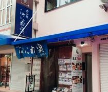 お散歩だけの1日