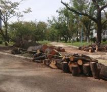 改めて今年の9月は大変でした