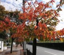 中途半端な空腹が困るのです