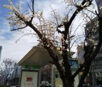 日当たりの違い