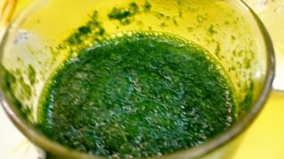 パセリ100%の手作りジュース