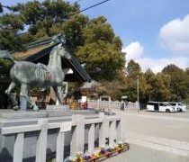 私の休みは、週に一度の日曜日