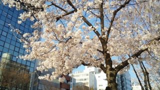 人事異動の季節です