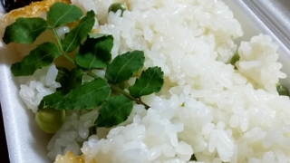 就寝1時間前の豆御飯