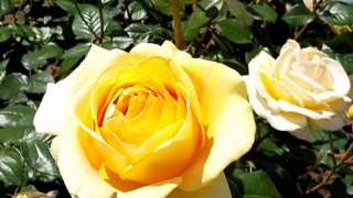 スマホの性能とアプリの進化