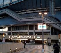 ドームのビール