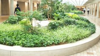 この日の仕事はお口だけ