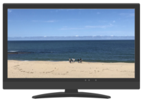 クライマックスのお邪魔むし