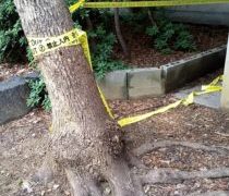 夜のTVはケーブルTVに致します