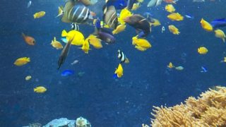 道路も食事も阪神高速