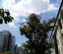 おっさんにいちごミルクは変でしょう