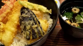 あっぱれサポセン姉さん