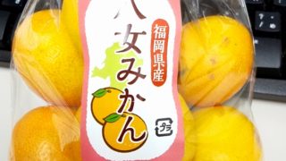 ミカンの美味しい季節になりました