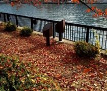 土曜の夜は静かです