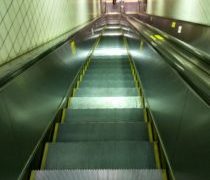 ジアスターゼは大根以上に多いそうです