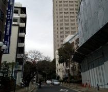 シューマイ、好みではないそうです