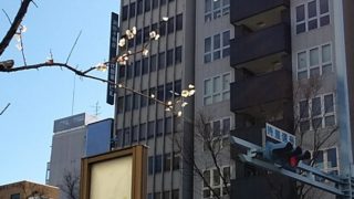 闇営業で世間が見えた