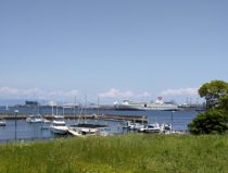 月末までお休み続くそうです