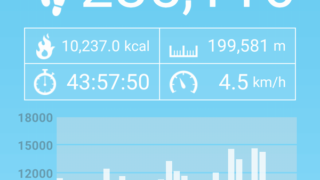 言葉通りの体が重い