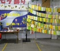 七夕の日、サントリー シングルモルトウイスキー 山崎18年お届けです