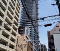 始まりが早ければ終わりもおのずと早いのです